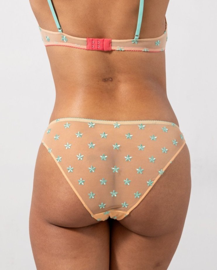 Mesh Bikini Briefs Peach/Turquoise