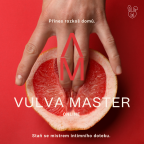 Vulvamaster- online kurz