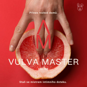 Vulvamaster- online kurz