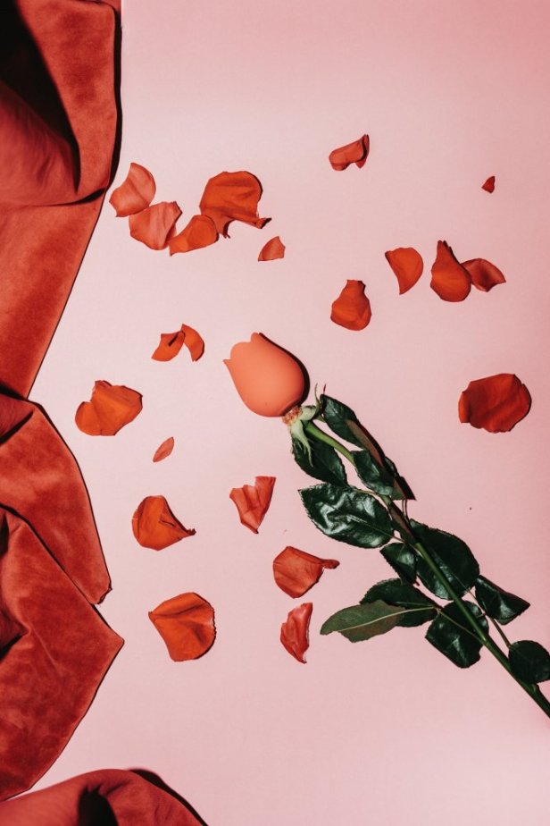 plusOne® rose arouser