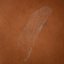 Hair and skin shimmer dry oil