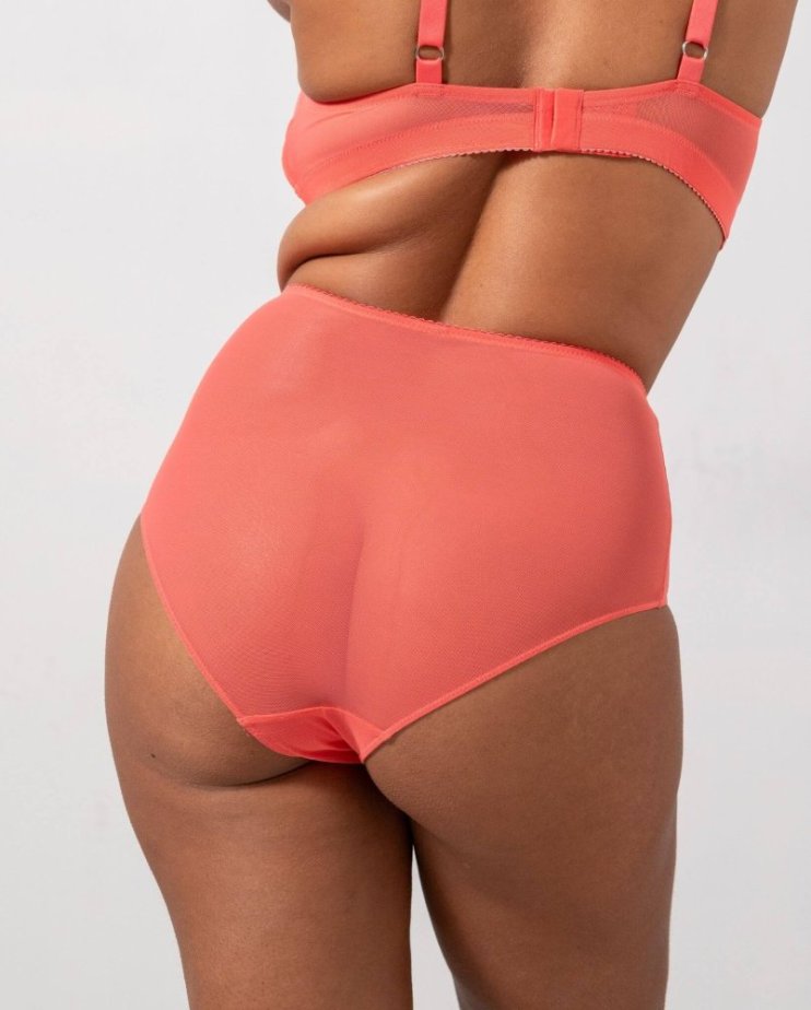 Mesh Highwaist Briefs Coral - Velikost: M