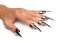 Claw Ring Set – 5dílný set drápků z nerezové oceli