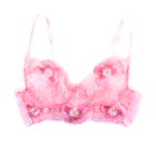 Rosie Cup Bra
