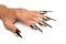 Claw Ring Set – 5dílný set drápků z nerezové oceli