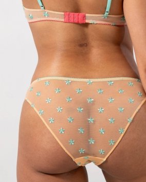 Mesh Bikini Briefs Peach/Turquoise