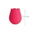 plusOne® rose arouser