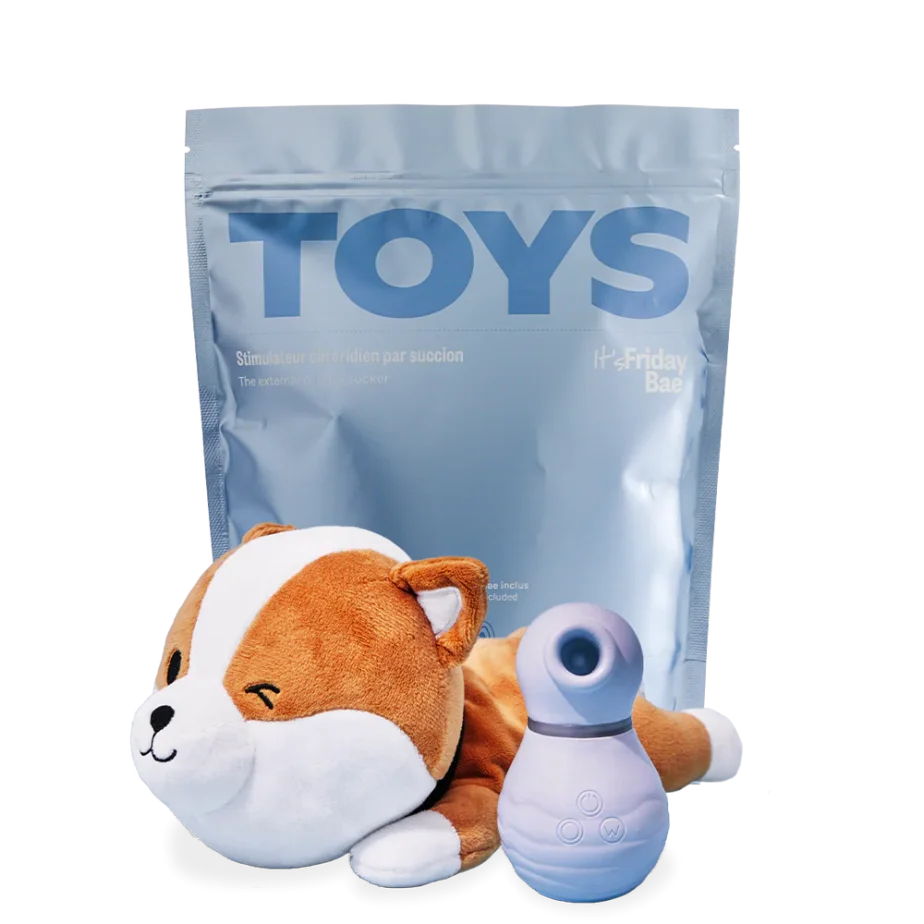 Friday Bae Shibae Pouch Wink – plyšová taštička na intimní hračky