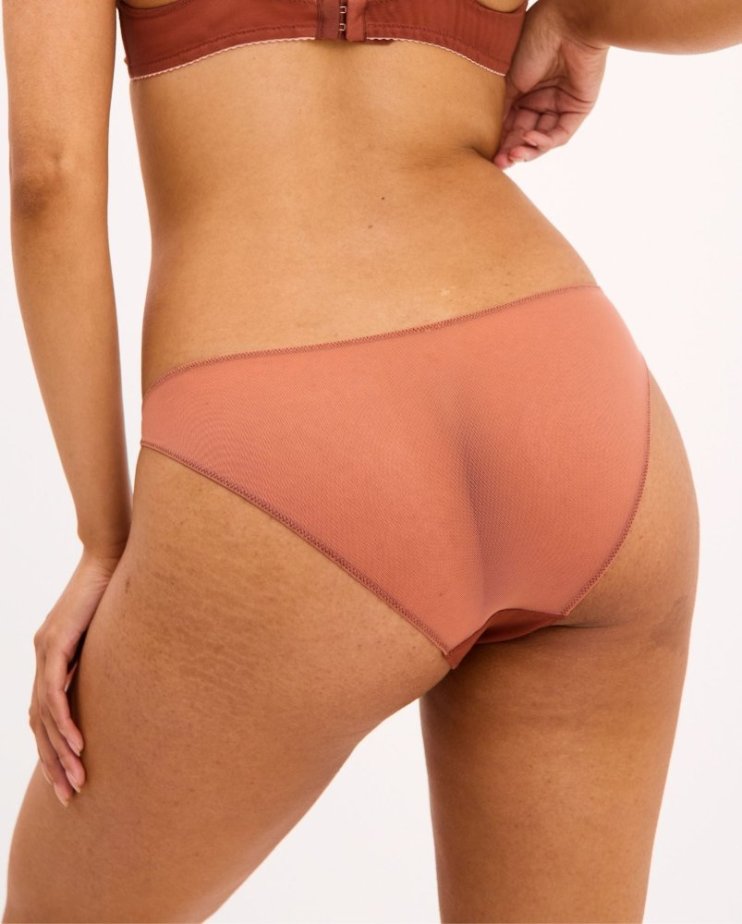 Mesh Tanga Briefs Rust